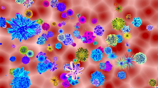 小林麻央の帯状疱疹はがんの影響？治療？原因や対策を探る